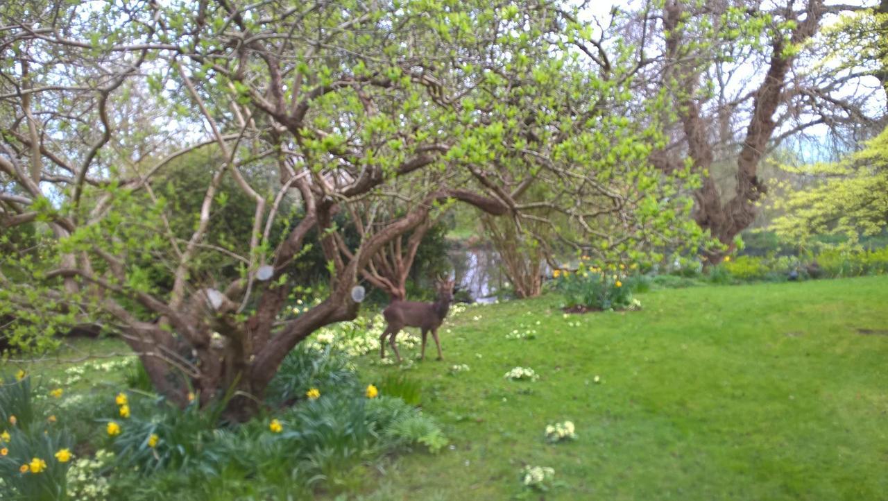 The Lynch Country House Somerton  Buitenkant foto